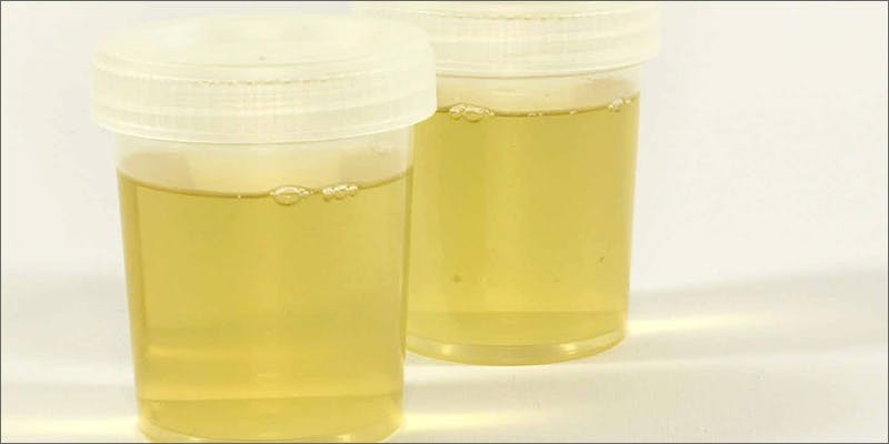 Synthetic Urine Pass Ua Bankhead Midland TX